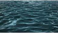 A man's drowing seems to be out of Surviving Lake Lanier | Image via Prime Video